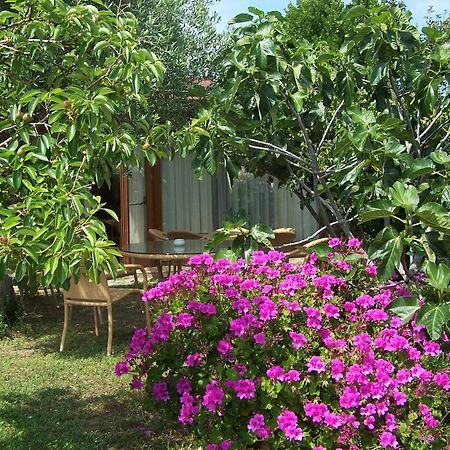 Hotel Club Ragno D'Oro Olbia Tempio Exteriör bild