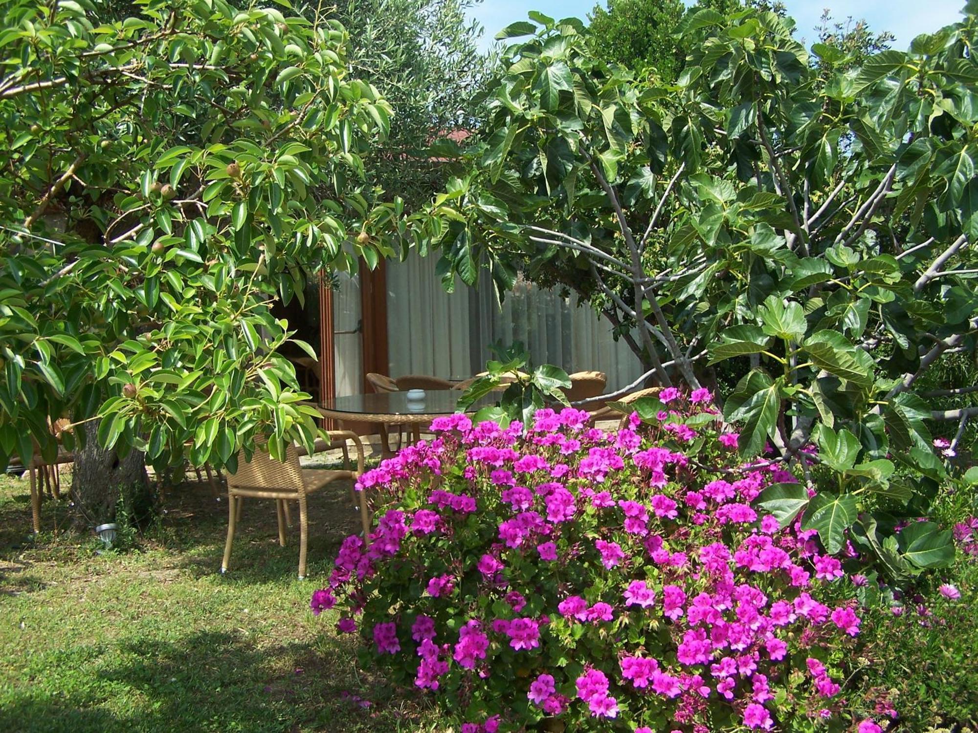 Hotel Club Ragno D'Oro Olbia Tempio Exteriör bild