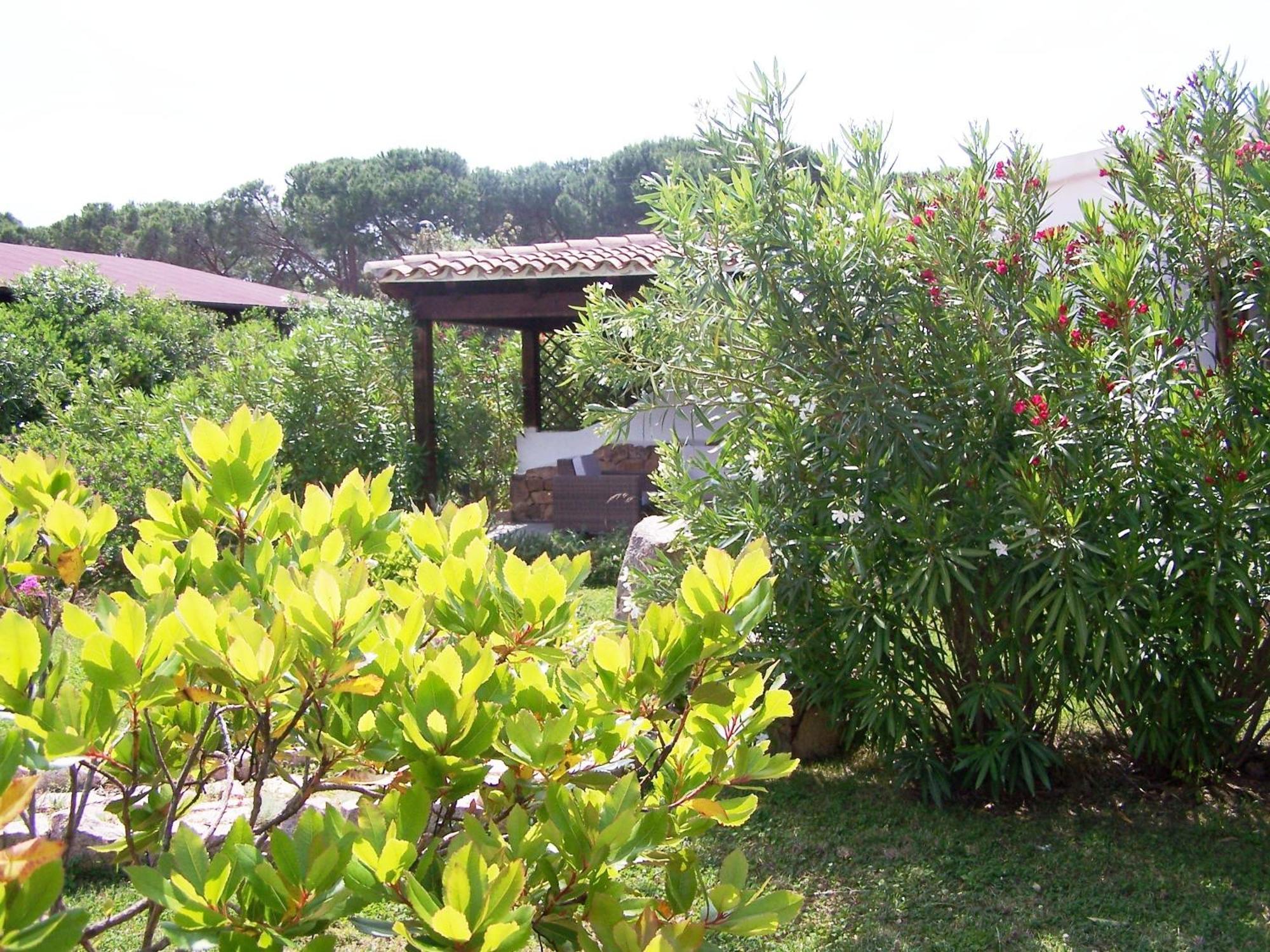 Hotel Club Ragno D'Oro Olbia Tempio Exteriör bild