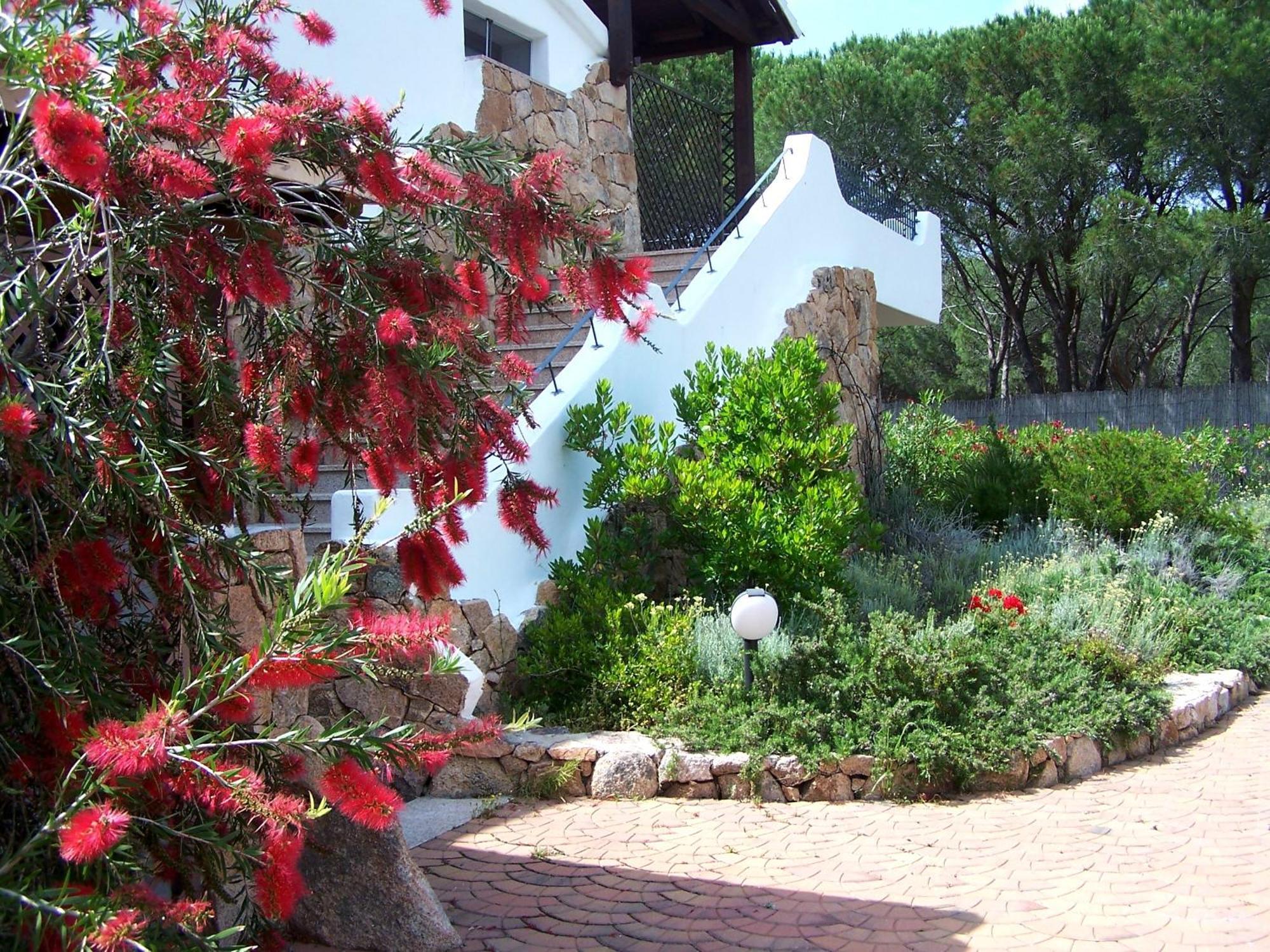Hotel Club Ragno D'Oro Olbia Tempio Exteriör bild