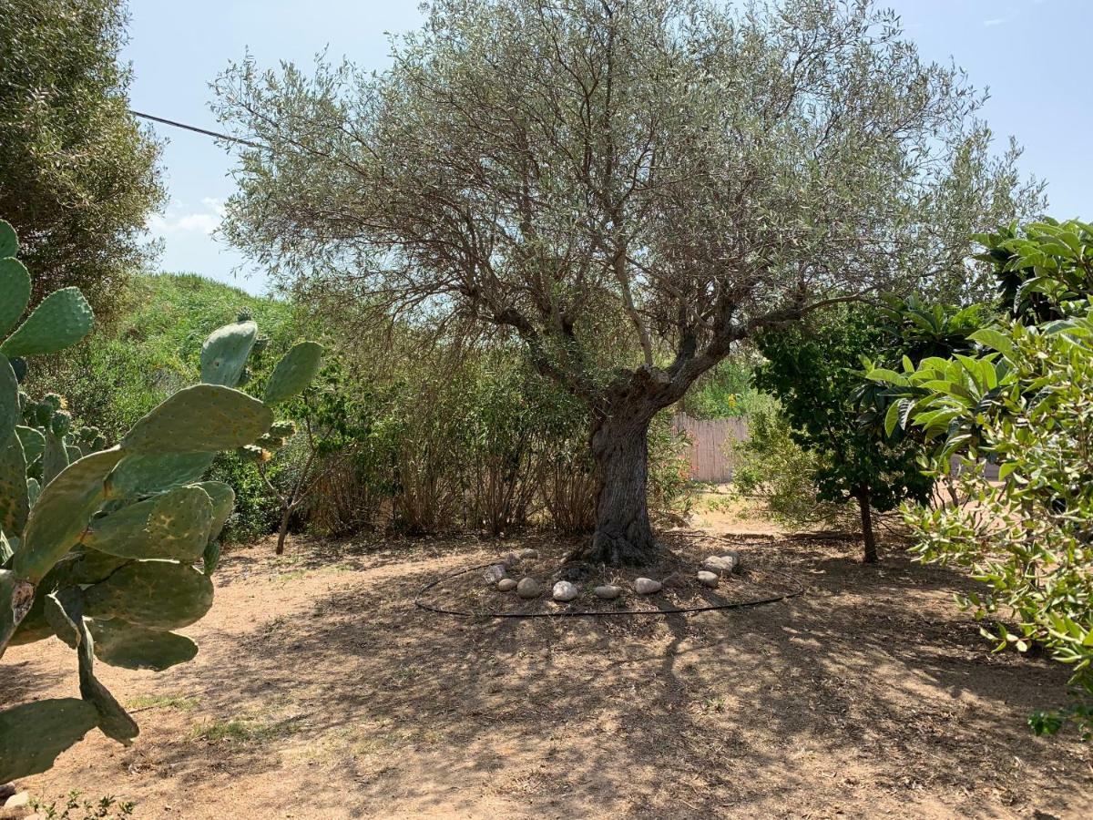 Hotel Club Ragno D'Oro Olbia Tempio Exteriör bild